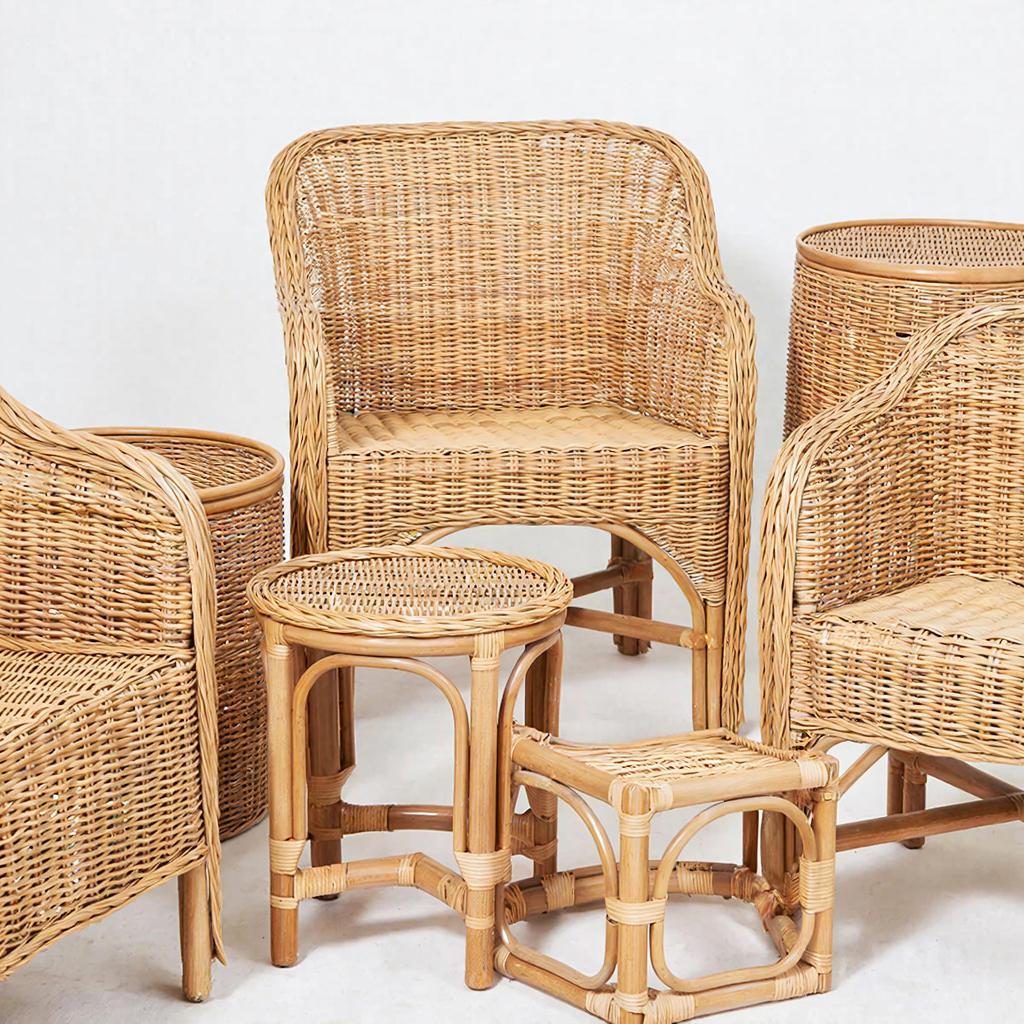 Экологическая безопасность искусственного ротанга: миф или реальность?